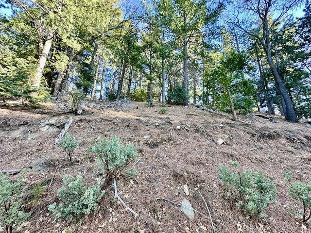 0 Green Craig Property Photo 3