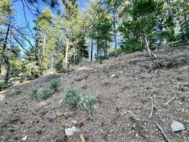 0 Green Craig Property Photo 4