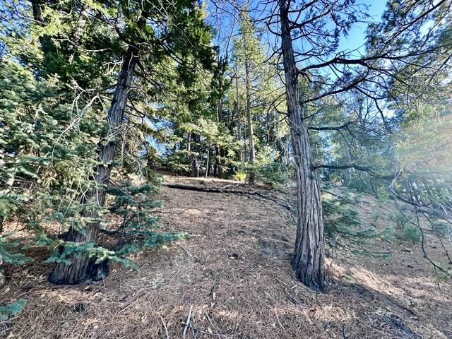 0 Green Craig Property Photo 7
