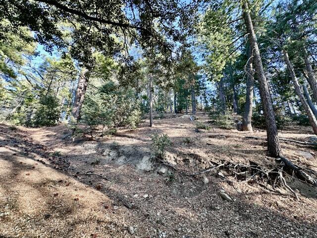 0 Green Craig Property Photo 8