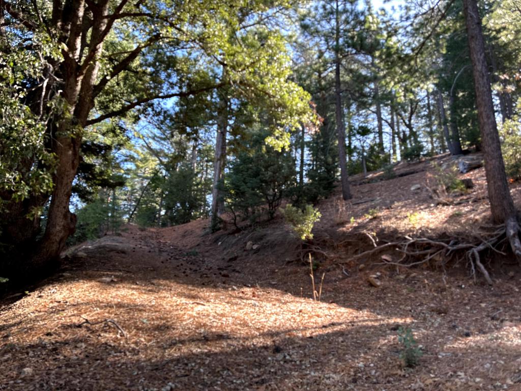 0 Green Craig Property Photo 10