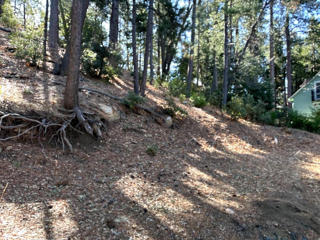 0 Green Craig Property Photo 11