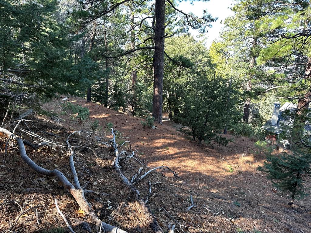 0 Green Craig Property Photo 15