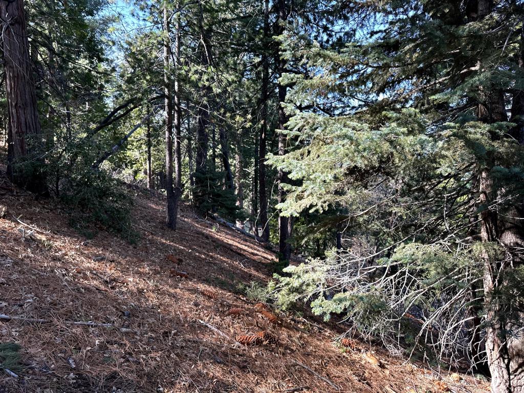 0 Green Craig Property Photo 16