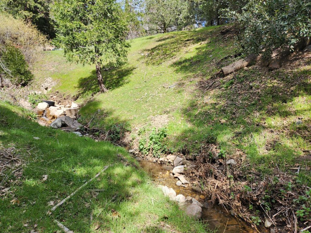0 Running Springs Lane Property Photo 1