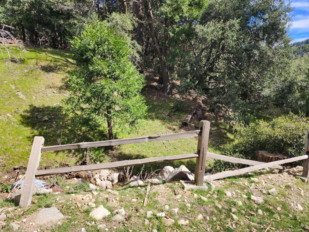 0 Running Springs Lane Property Photo 2