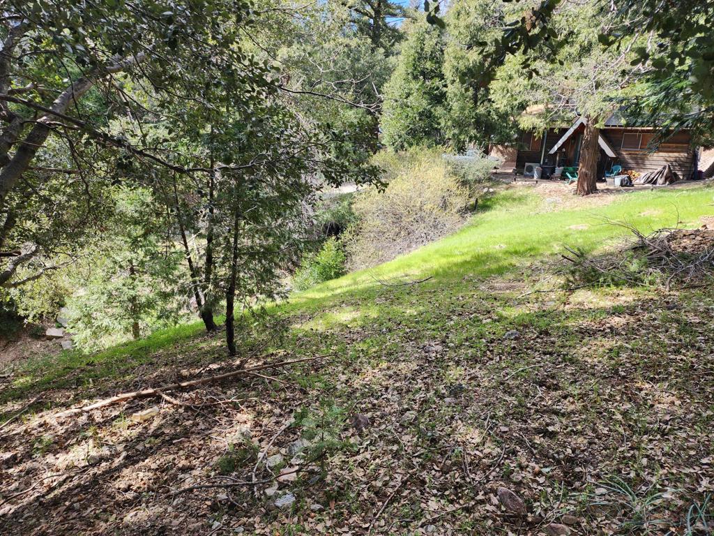 0 Running Springs Lane Property Photo 3