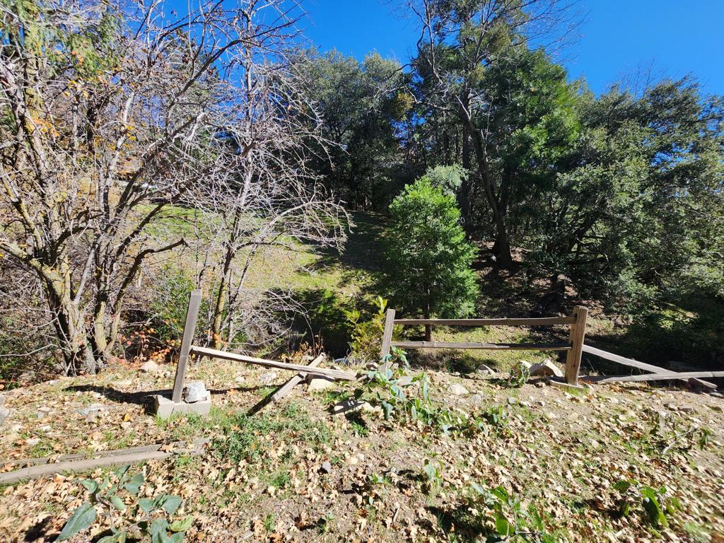 0 Running Springs Lane Property Photo 4