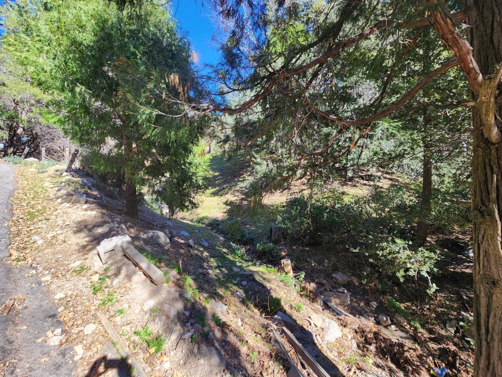 0 Running Springs Lane Property Photo 6