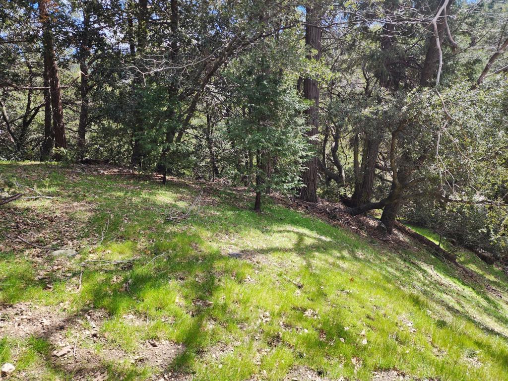 0 Running Springs Lane Property Photo 7