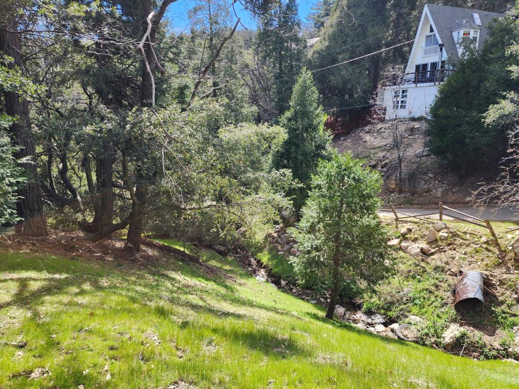 0 Running Springs Lane Property Photo 8