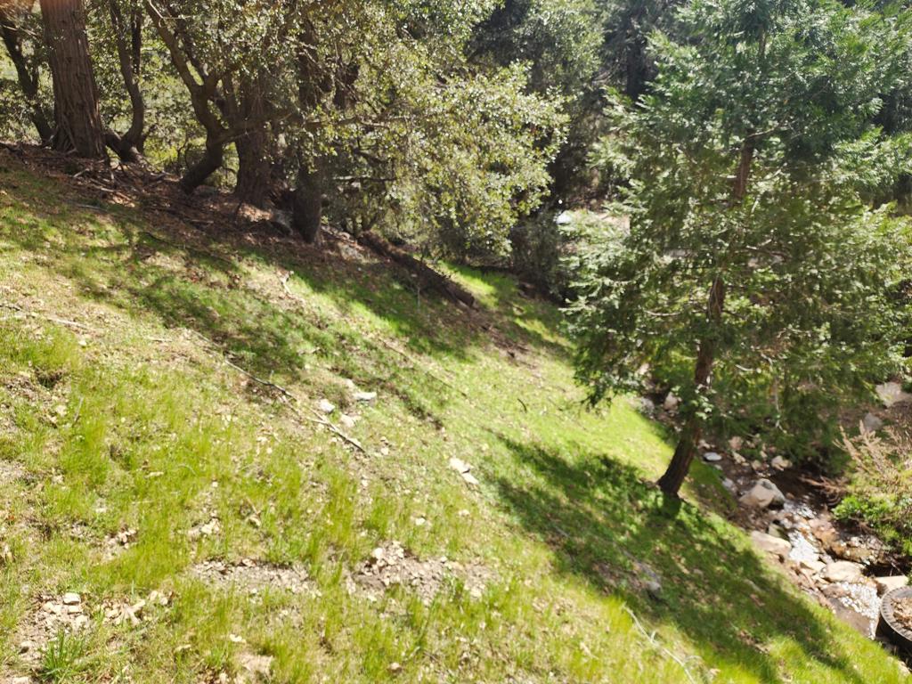 0 Running Springs Lane Property Photo 9