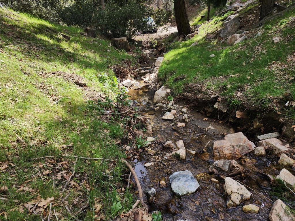 0 Running Springs Lane Property Photo 10