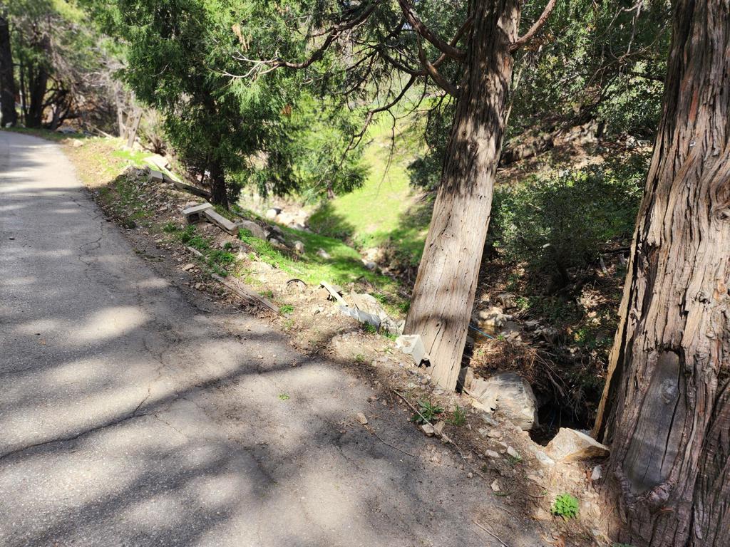 0 Running Springs Lane Property Photo 11