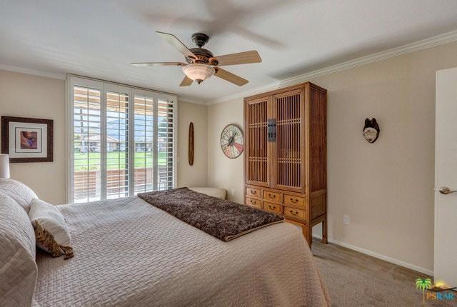 11 Palma Drive Property Photo 12