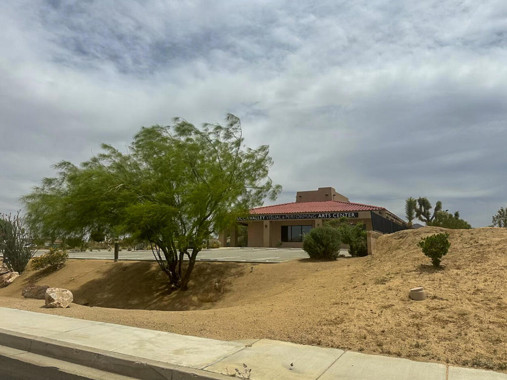 58325 29 Palms Highway Property Photo 29