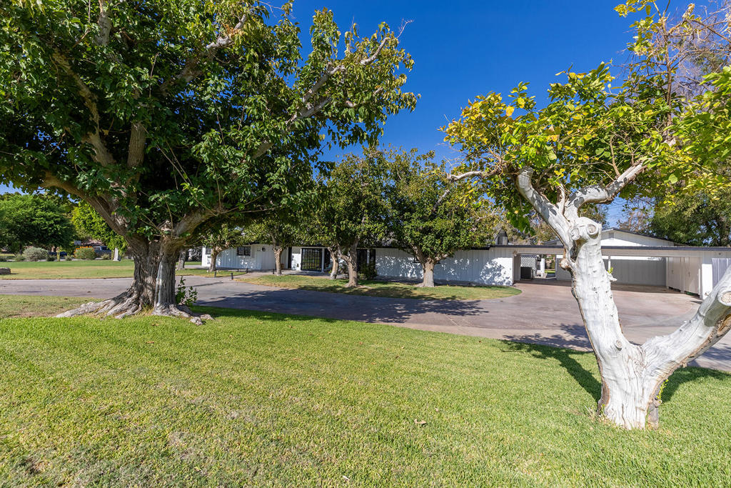 4444 Brandt Road Property Photo 8