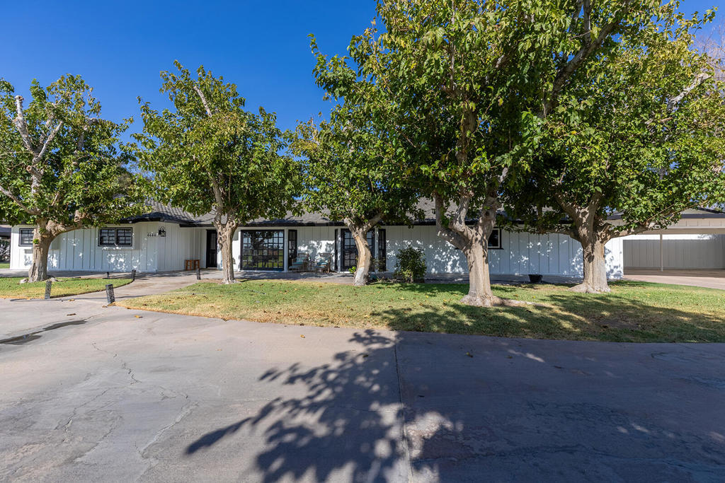 4444 Brandt Road Property Photo 11