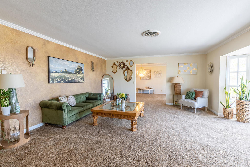 4444 Brandt Road Property Photo 15