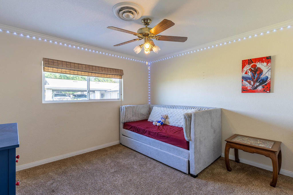 4444 Brandt Road Property Photo 55