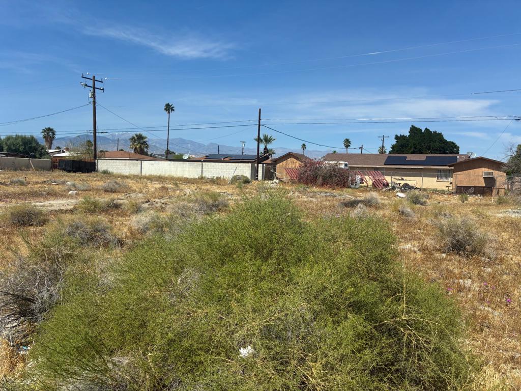 Lot 233 Rosa Parks Property Photo 4