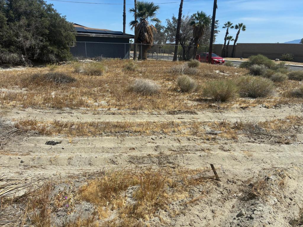Lot 233 Rosa Parks Property Photo 5