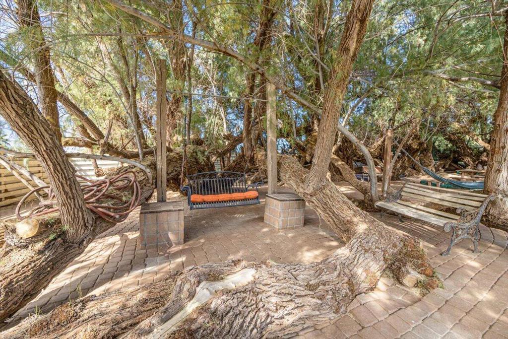 19279 Prickly Pear Trail Property Photo 69