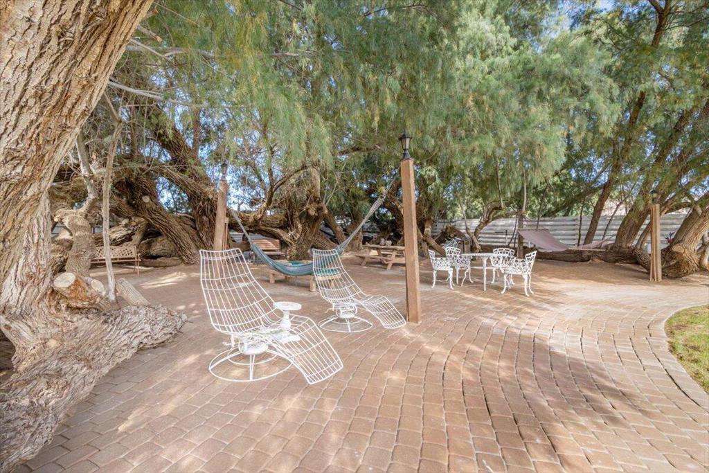 19279 Prickly Pear Trail Property Photo 70
