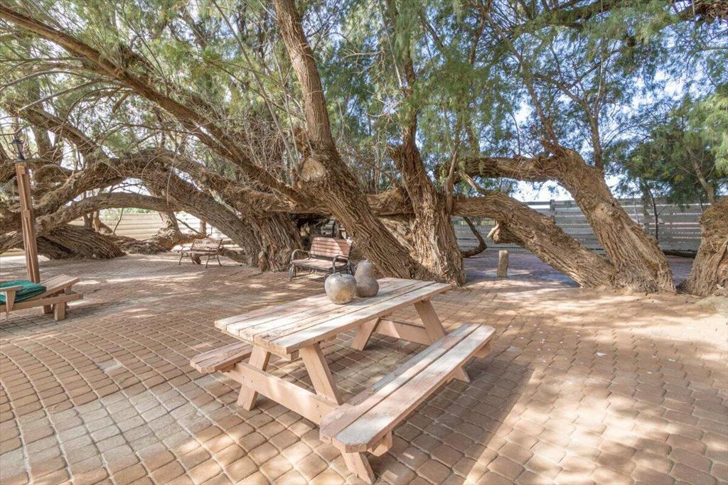 19279 Prickly Pear Trail Property Photo 72