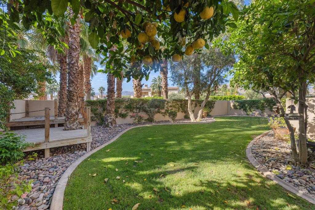 51730 Via Bendita Property Photo 66