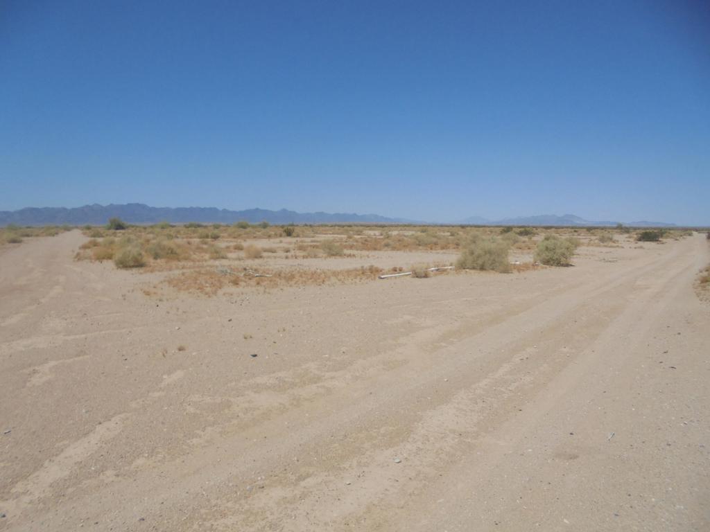 277 Acres Property Photo 7