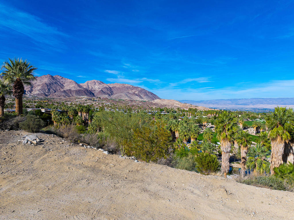 206 Palm Ridge Property Photo 8