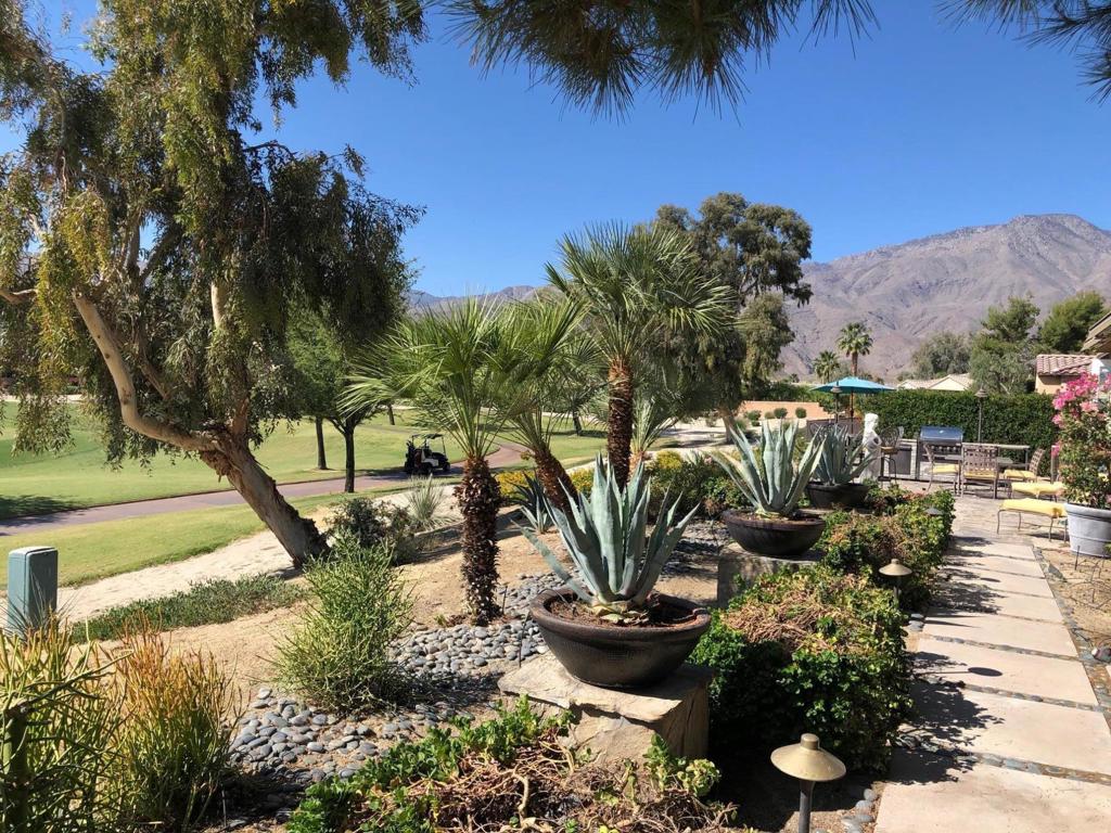 61016 Desert Rose Drive Property Photo 14