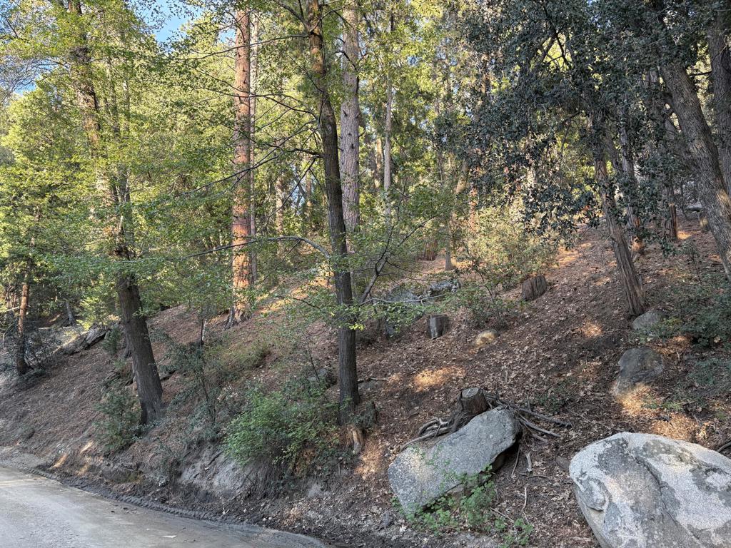 0 Tahquitz View Drive Property Photo 2
