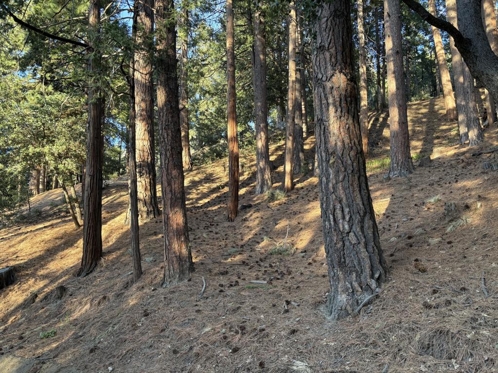 0 Tahquitz View Drive Property Photo 3