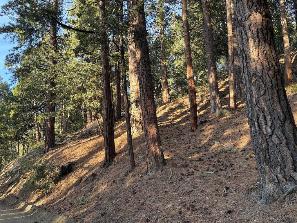 0 Tahquitz View Drive Property Photo 4