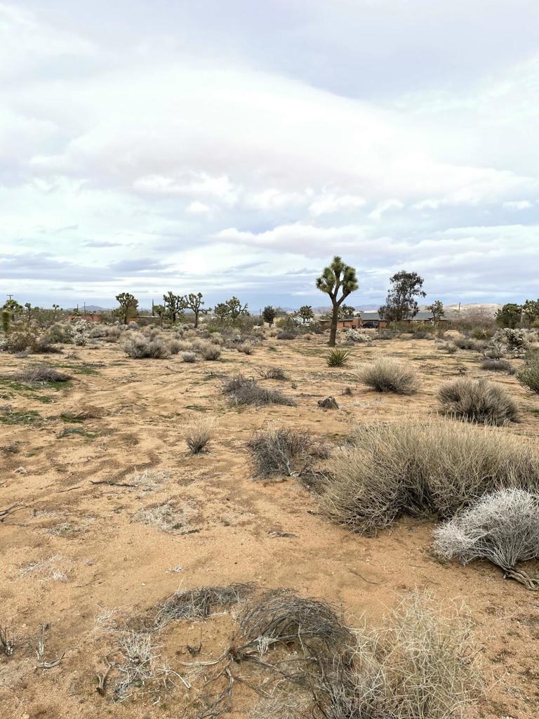 58383 Beaver Tail Lane Property Photo 4