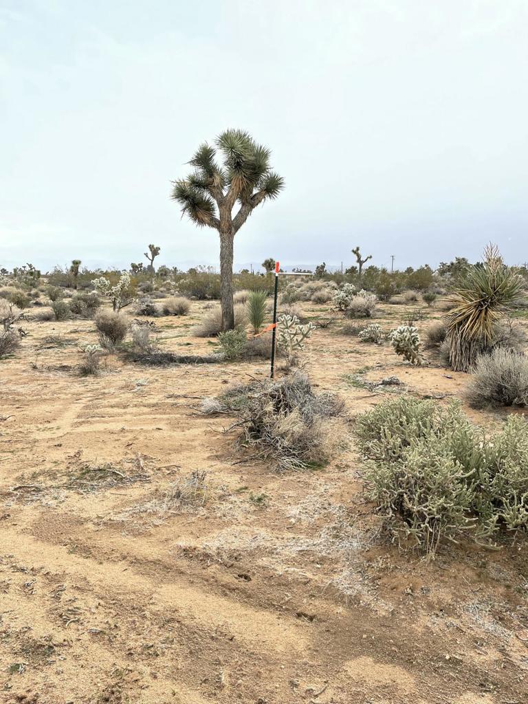 58383 Beaver Tail Lane Property Photo 8