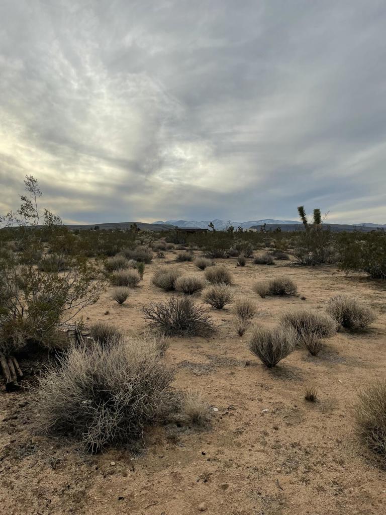 58383 Beaver Tail Lane Property Photo 23