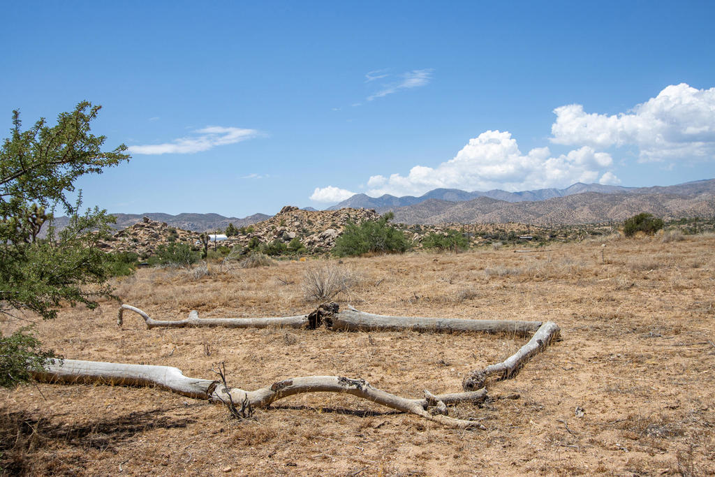 201 Pipes Canyon Road Property Photo 11