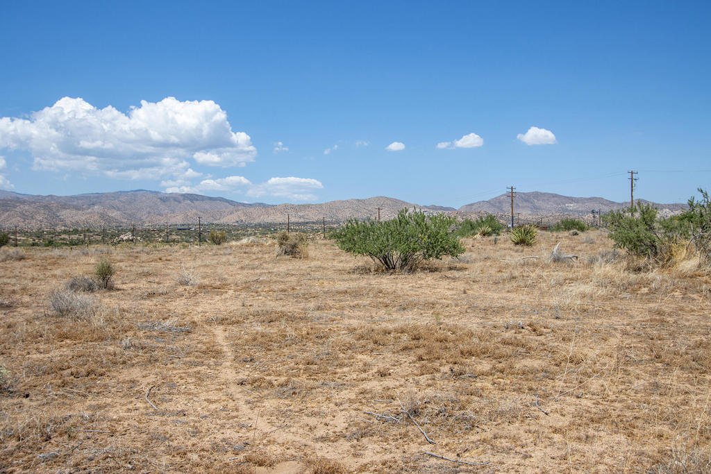 201 Pipes Canyon Road Property Photo 12