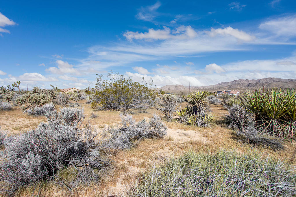 102 Saddleback Road Property Photo 6