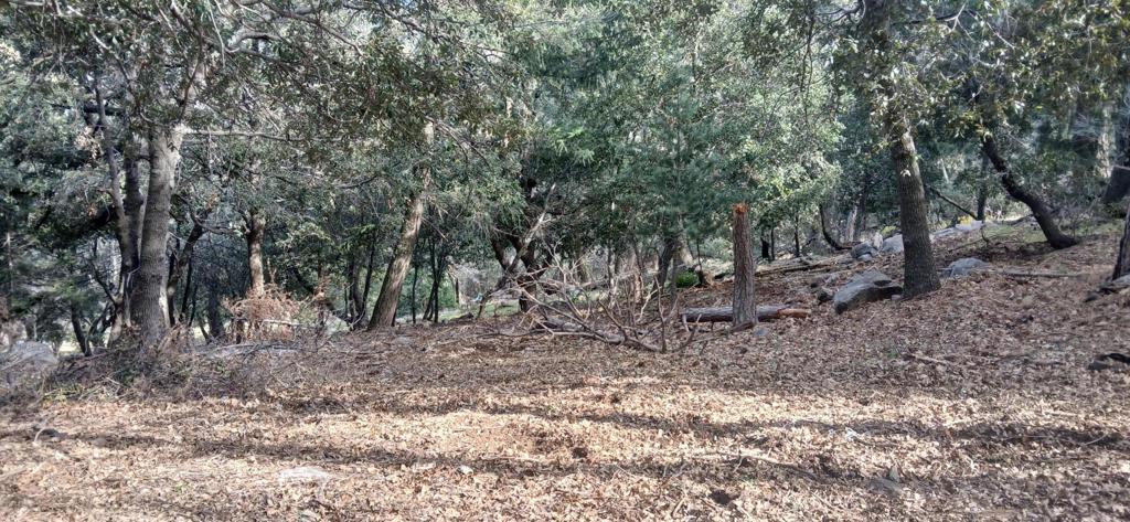 0 Alder Creek Road Property Photo 1