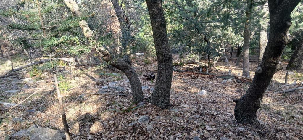 0 Alder Creek Road Property Photo 2
