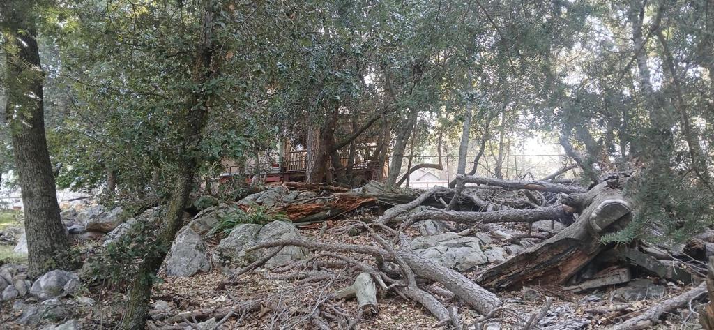 0 Alder Creek Road Property Photo 3