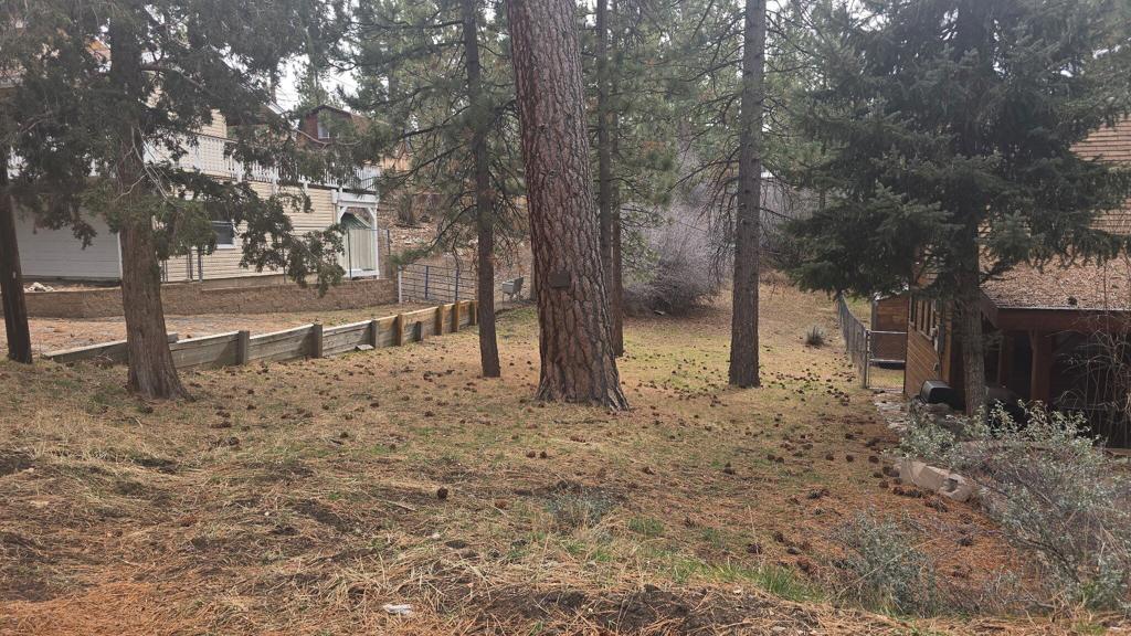0 Conifer Conifer Property Photo 1