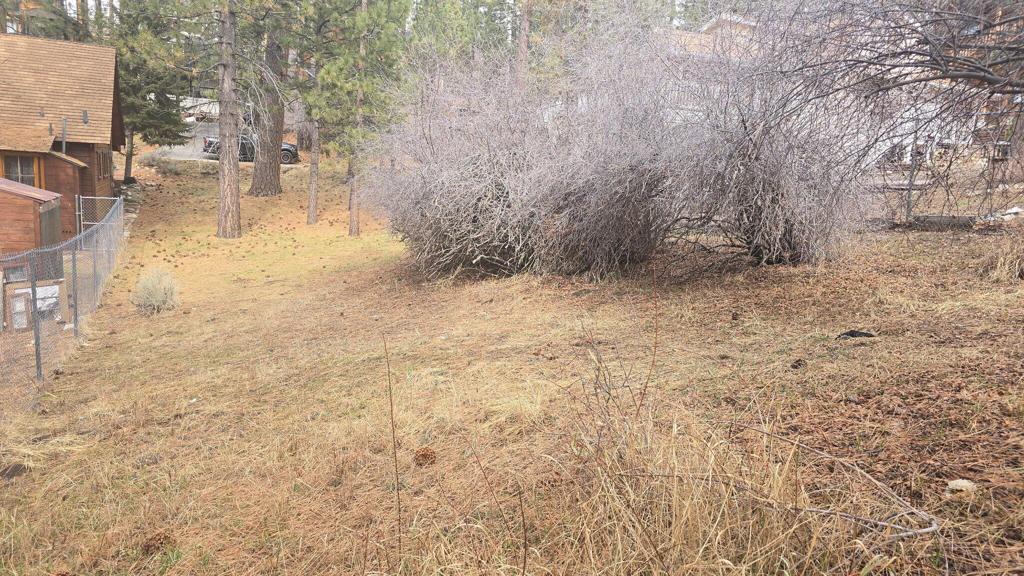 0 Conifer Conifer Property Photo 4