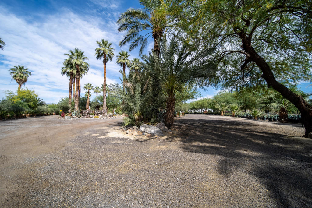 66790 Martinez Road Property Photo 39