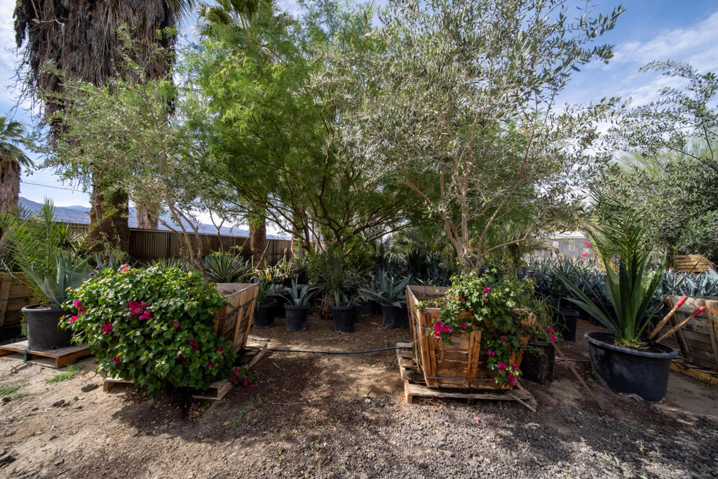 66790 Martinez Road Property Photo 50