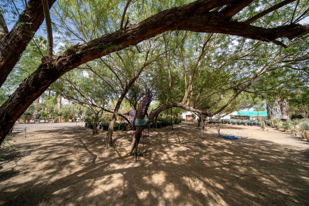 66790 Martinez Road Property Photo 59